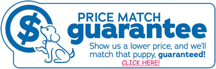 pricematchnew.jpg ups.png